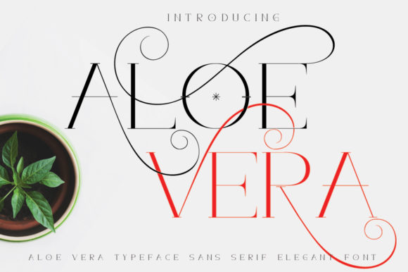 Aloe Vera: The Elegant Serif Font for Polished Branding