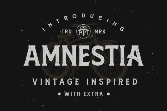Amnestia: A Modern-Classic Serif Font for Your Brand