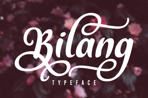 Bilang: A Bold Script Font for Elegant and Masculine Campaigns