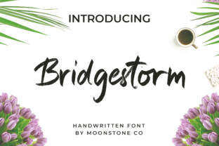 Discover the Charm of Bridgestorm: A Romantic Handwritten Font