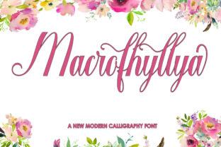 Enhance Your Brand with Macrofhyllya Script Font