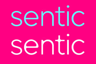 Sentic: A Modern Sans Serif Font for Creative Campaigns